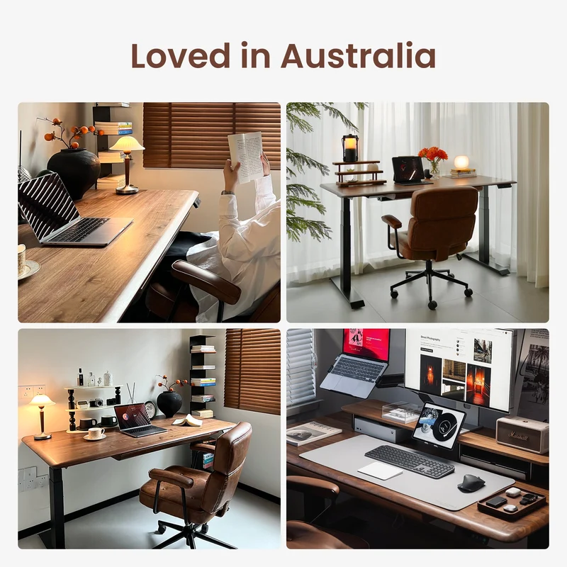 9am HOME Pesk Pro Hardwood Home Office Electric Standing Desk - (American Ash Top)(1500*750mm)