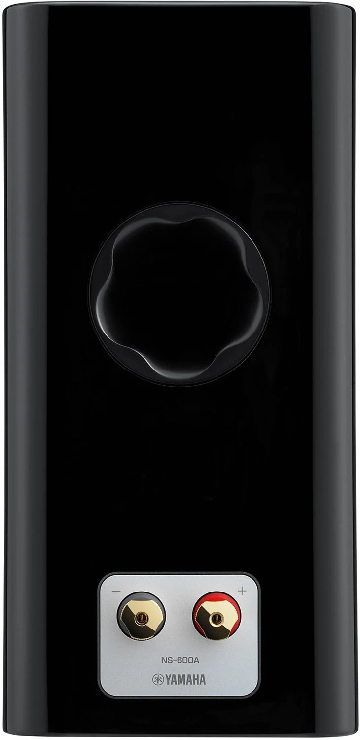 NS-600A