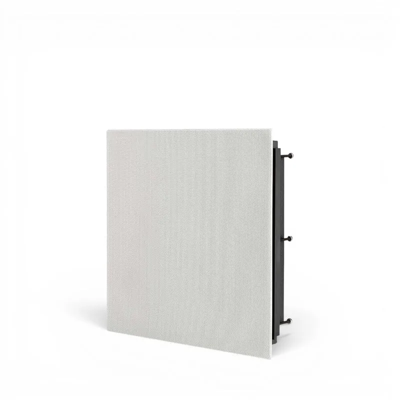 WS300