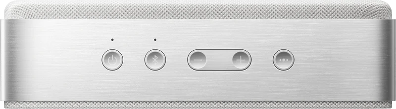 Bose SoundLink Home Bluetooth Speaker - Light Silver