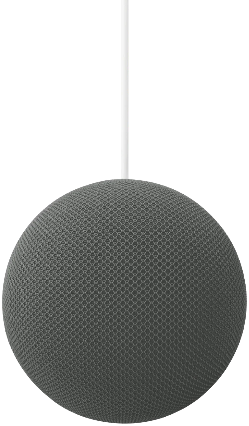 Google Home Speaker - Dark Hazel