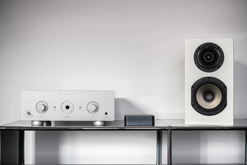 WiiM Pro Plus – Ultra-High-Res-Audio-Streamer
