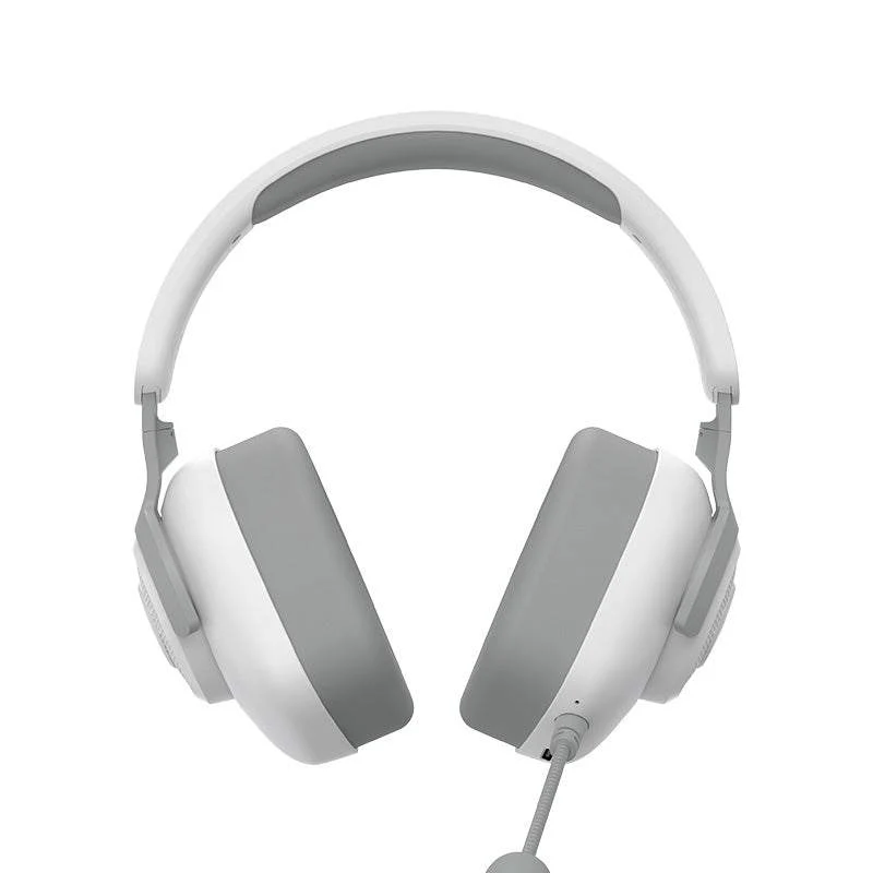HAVIT Gaming Headphones H2230BG Wireless