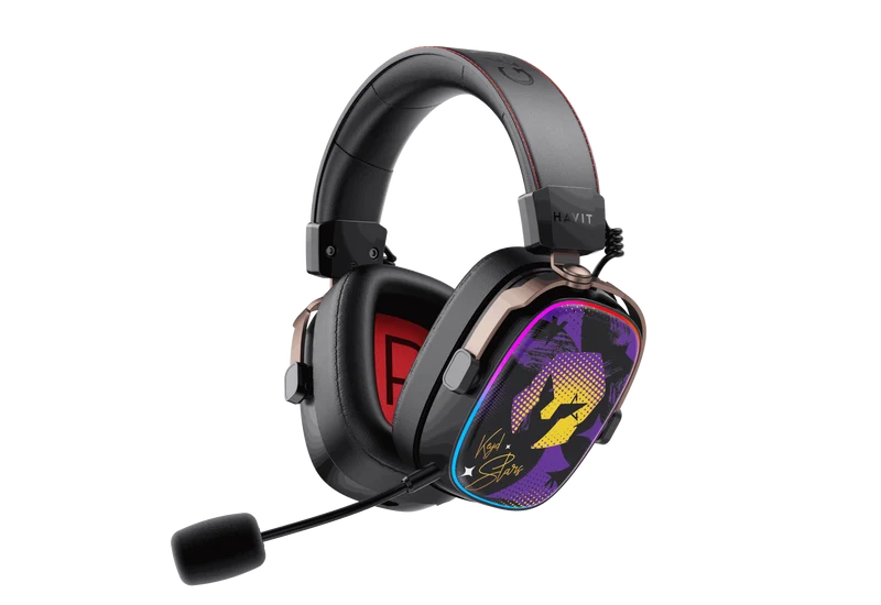 HAVIT Gaming Headphones H2039BG Tri-Mode