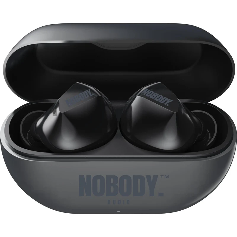 NOBODY VP4 Pro ANC Premium Earbuds With Call Clarity (Titanium)