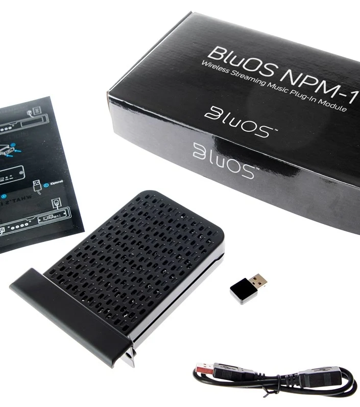 BluOS NPM-2i