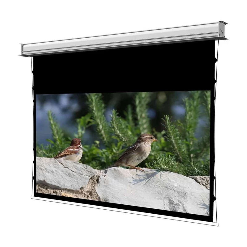 WS S DE GrandCinema Deckeneinbau Motorleinwand