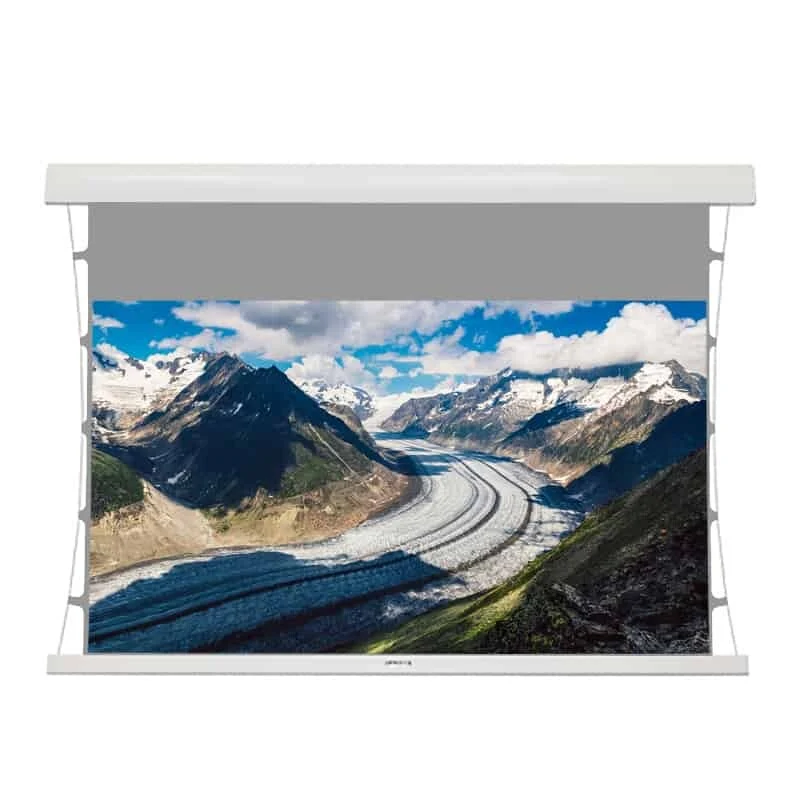 Kauber Red Label Edgefree Tension PC-S
