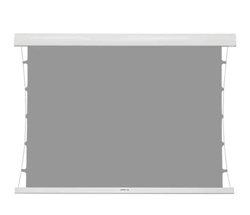 Kauber Red Label Edgefree Tension PC-S
