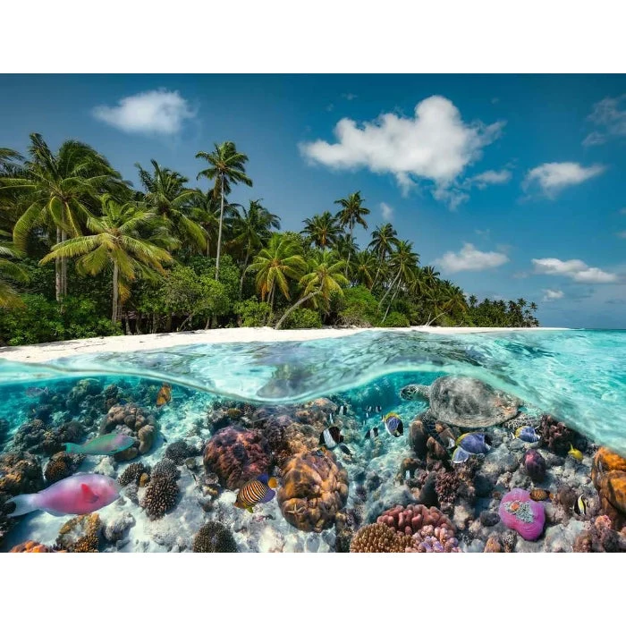 Ravensburger 2000pc Underwater/Overwater Puzzle