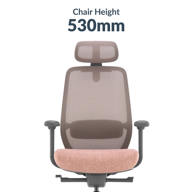 Desky CoilFlex Ergonomic Office Chair - Peach / Headrest