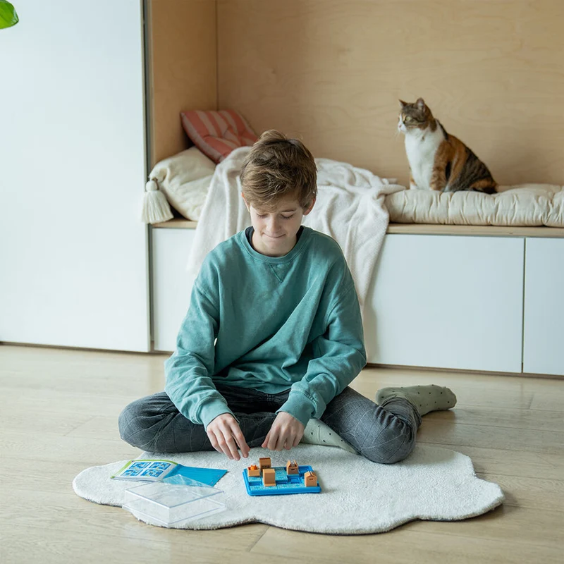 Smart Games Cats & Boxes Puzzle Game
