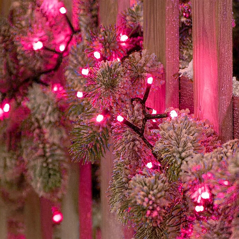 Lexi Lighting 240 LED Fairy Light Chain Dark Green Cable - Pink
