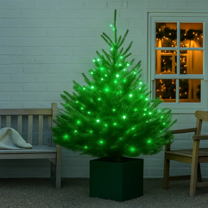 Lexi Lighting 240 LED Fairy Light Chain Clear Cable - Green