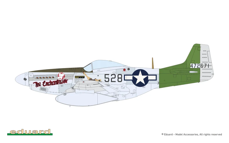 1/72 P-51D Mustang Model Kit