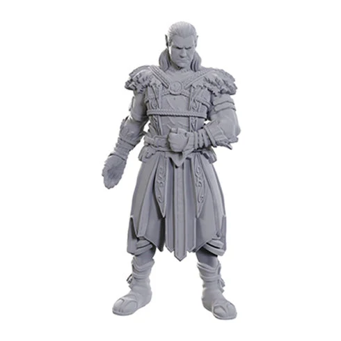 Wizkids D&D Nolzur's Marvelous Miniatures: Special Edition - Baldur's Gate 3: Jaheira & Halsin