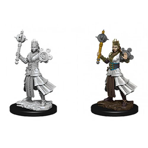 Wizkids D&D Nolzurs Marvelous Unpainted Miniatures Female Human Cleric