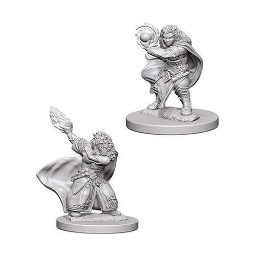 Wizkids Dungeons & Dragons D&D Nolzur's Marvelous Unpainted Minis Dwarf Male Paladin