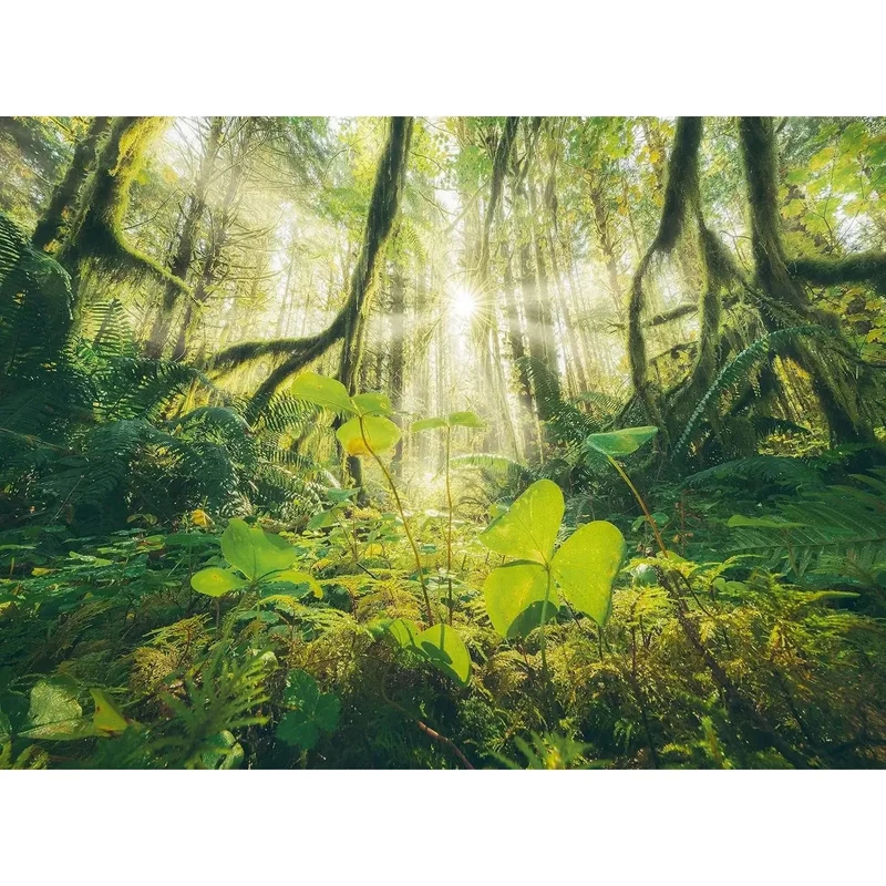 Ravensburger 4x500-Pieces Four Seasons Puzzle