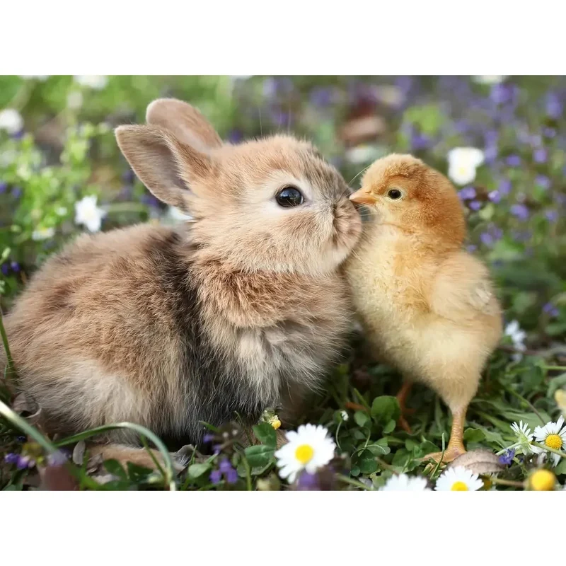 Ravensburger 500pc Rabbit and Chick Puzzle