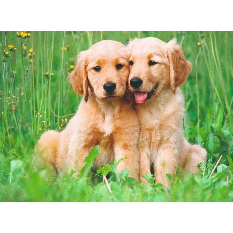 Ravensburger 500pc The Golden Retriever Brothers Puzzle