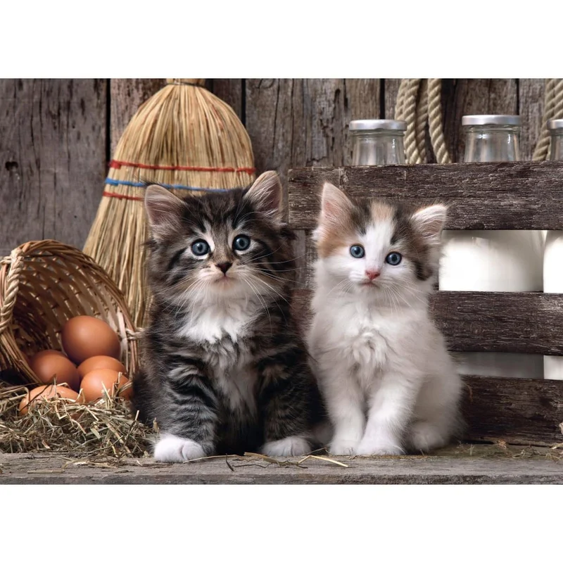 Clementoni 1000pc Lovely Kittens Puzzle
