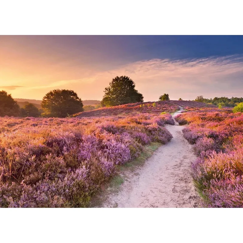 Ravensburger 1000pc Pink Pathway Puzzle