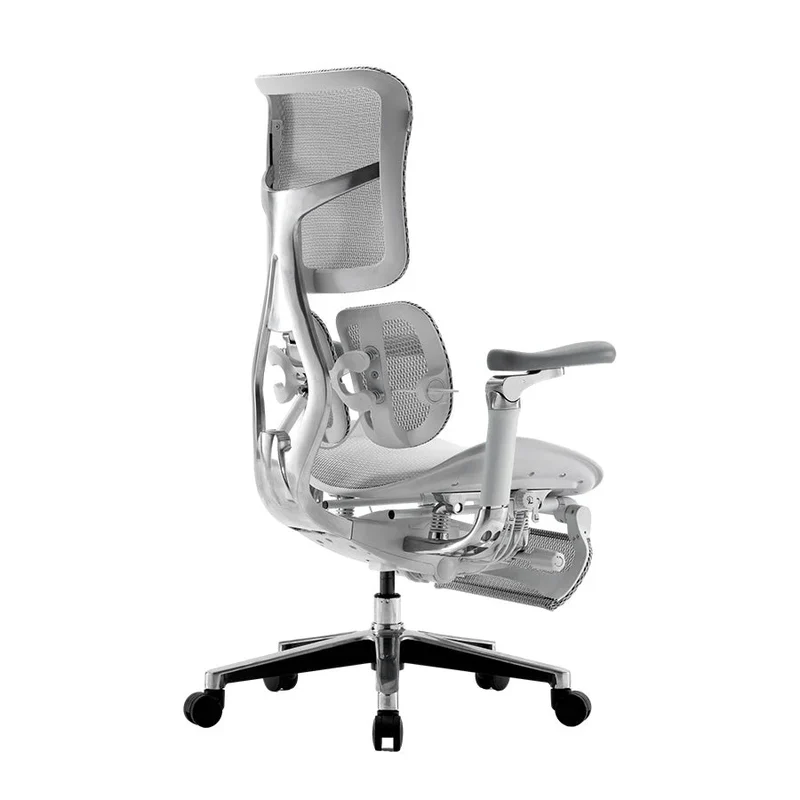 Sihoo DORO-S300-Ergonomic Office Chair with Footrest (Grey)