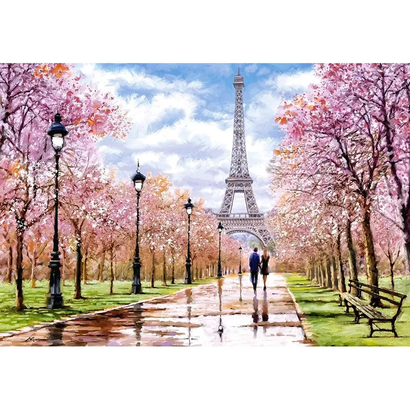 Castorland 1000-Pieces Romantic Walk In Paris Puzzle