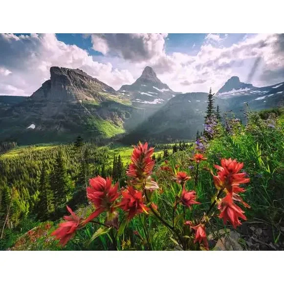 Ravensburger 2000pc WT: Landscape Puzzle