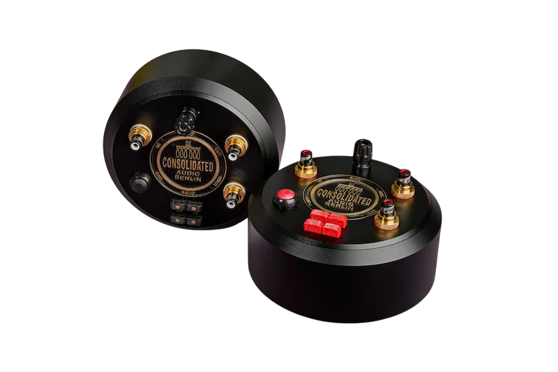 Step-Up Transformator Multi-Ratio Dual Mono