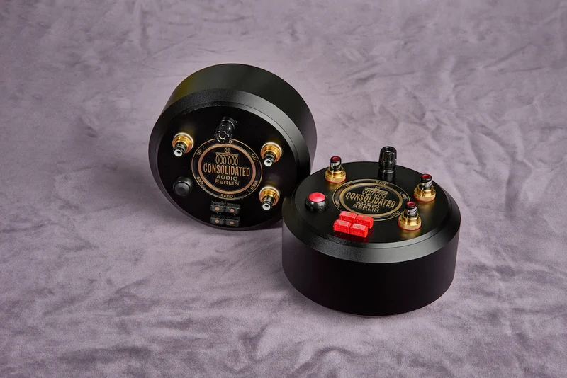 Step-Up Transformator Multi-Ratio Dual Mono