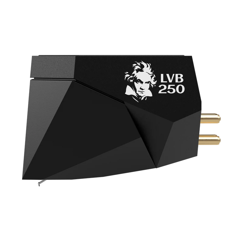 2M Black LVB 250