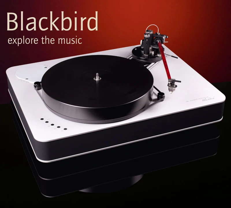 Blackbird