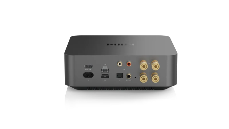 WiiM Amp Pro