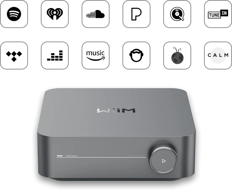 WiiM Amp Pro